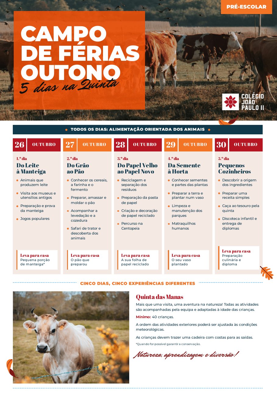 Cartaz: 5 dias na Quinta
